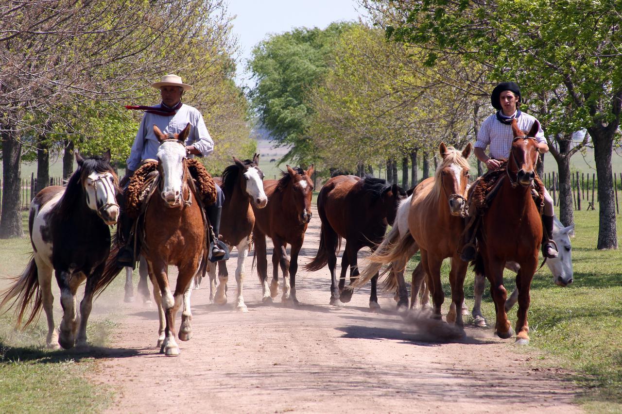 Estancia El Ombu De Areco San Antonio de Areco Exterior foto
